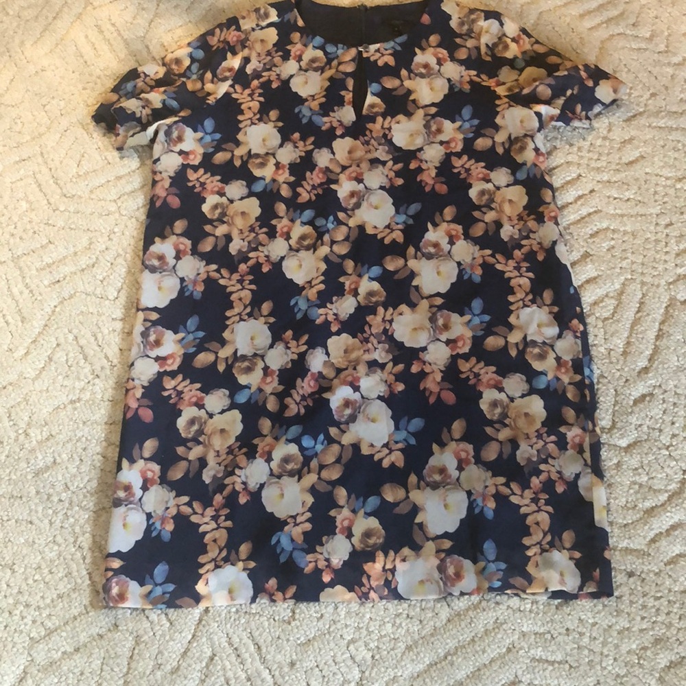 J Crew dress 100% silk.  lining 100%  Polyester